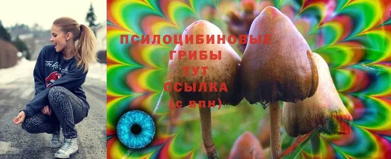 Псилоцибиновые грибы Cubensis  дарнет шоп  Новосибирск 